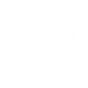 broker skoda
